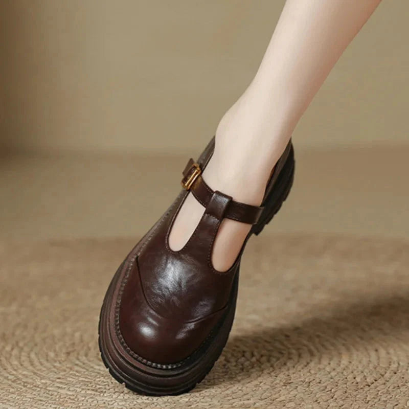 The Hedy Platform Mary Jane